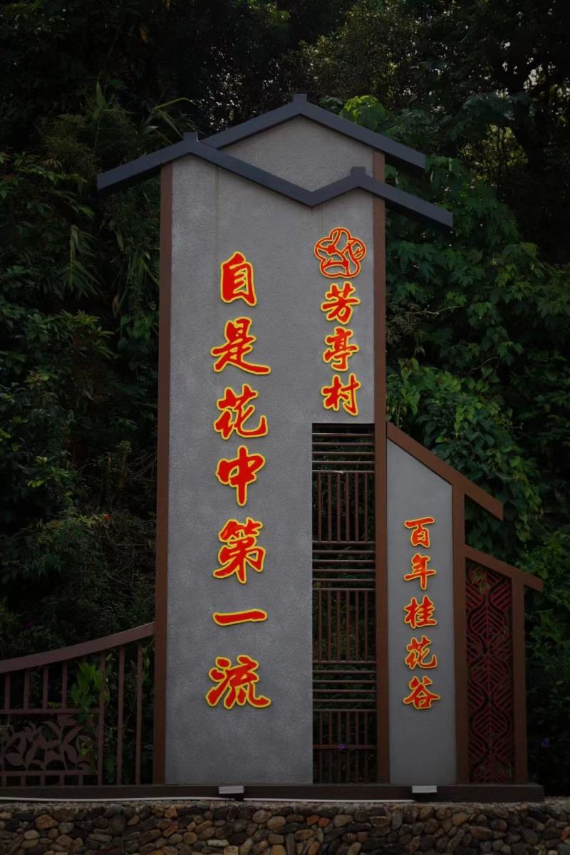 【专业批发】桂花红茶新茶正宗武夷花香正山小种红茶罐装