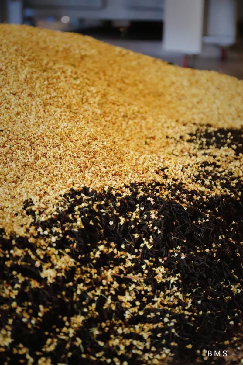 【专业批发】桂花红茶新茶正宗武夷花香正山小种红茶罐装