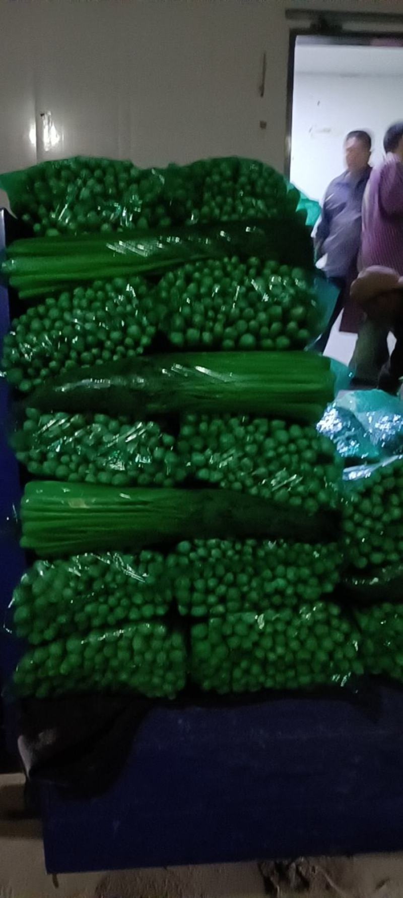 商河县芹菜，精品物优价廉，货源充足