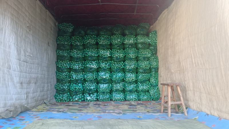 商河县芹菜，精品物优价廉，货源充足