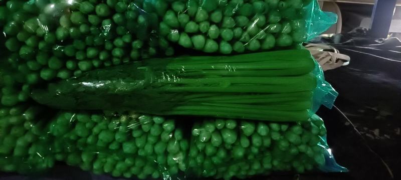 商河县芹菜，精品物优价廉，货源充足