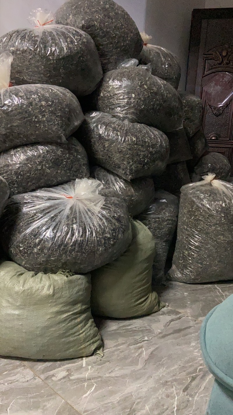 莓茶老叶