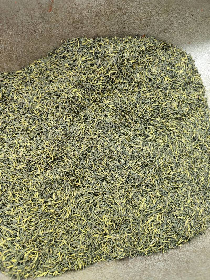 杜仲雄花2025年新茶上市，颜色青花粉足，产地一手货源