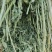 玉门市小金湾东乡族乡万亩紫花苜蓿草储备库种植基地颜色绿