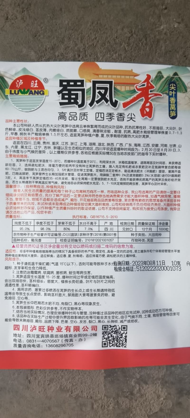 莴笋种子蜀凤香高品质四季绿色大尖叶耐热2＿8月种脆香
