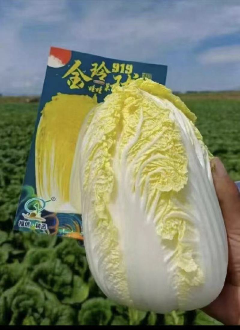 绿包黄包娃娃菜