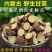 野生甘草中药材无硫新货红皮甘草泡水甘草批发片可泡茶泡水喝