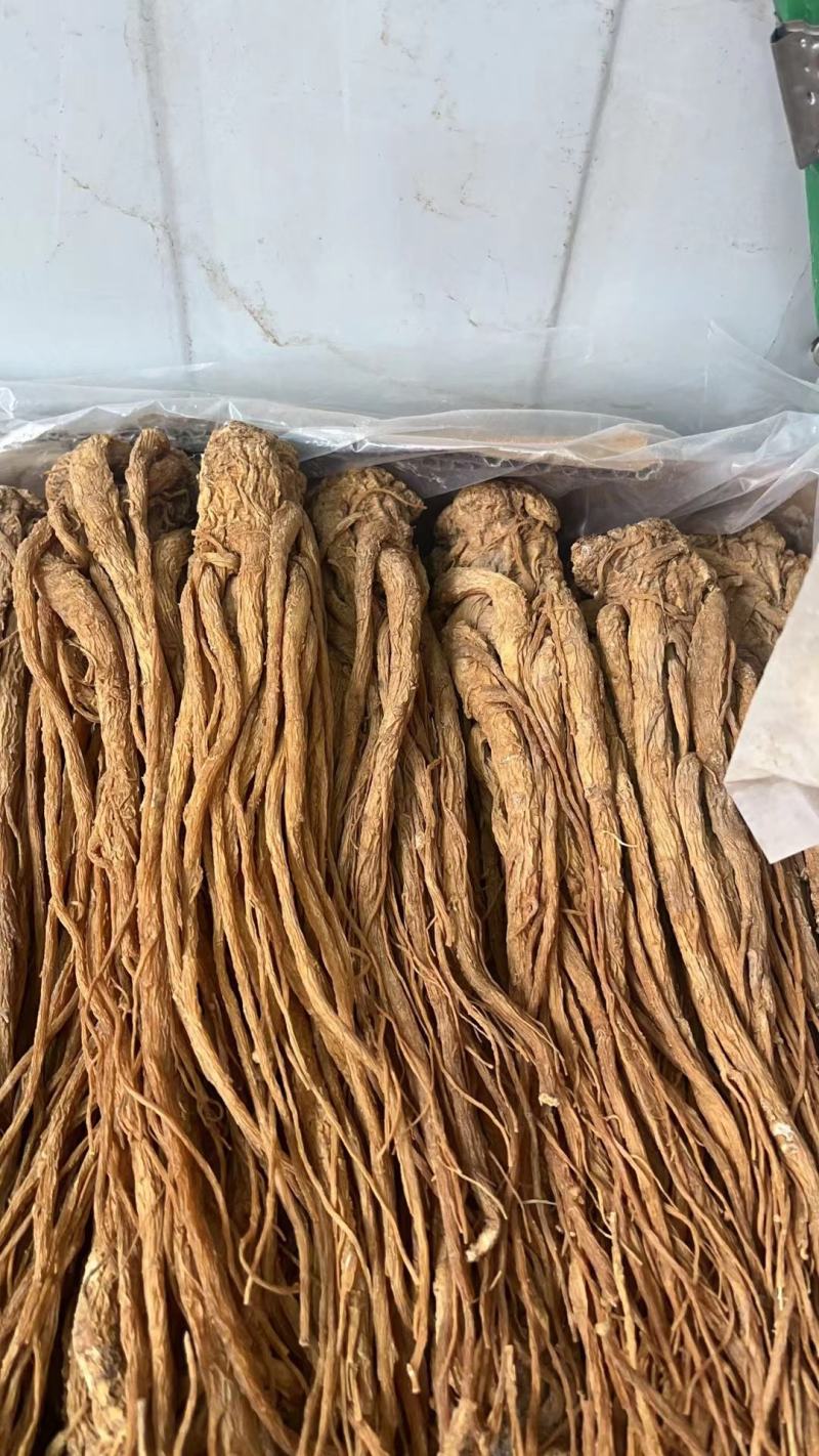 岷县当归，当归片，水洗无硫优质地道药材品质保证