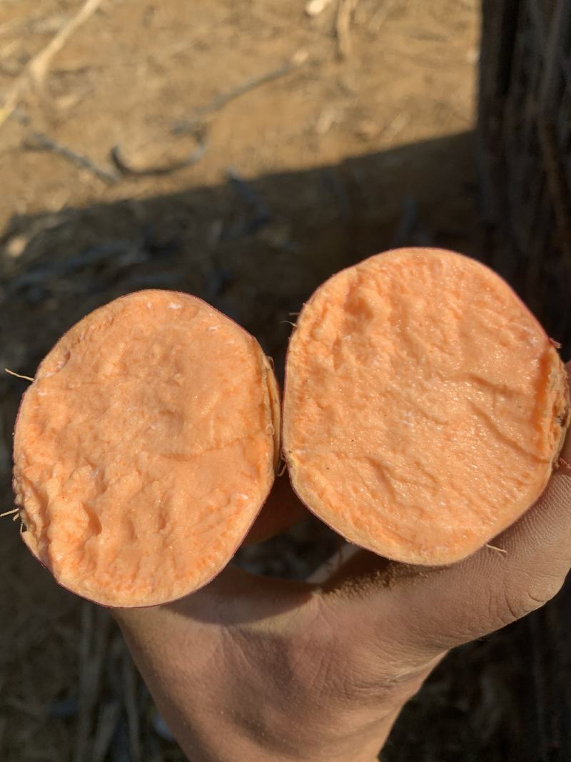 山东正宗烟薯25烤红薯烤地瓜产地直发软糯香甜流蜜糖化社区