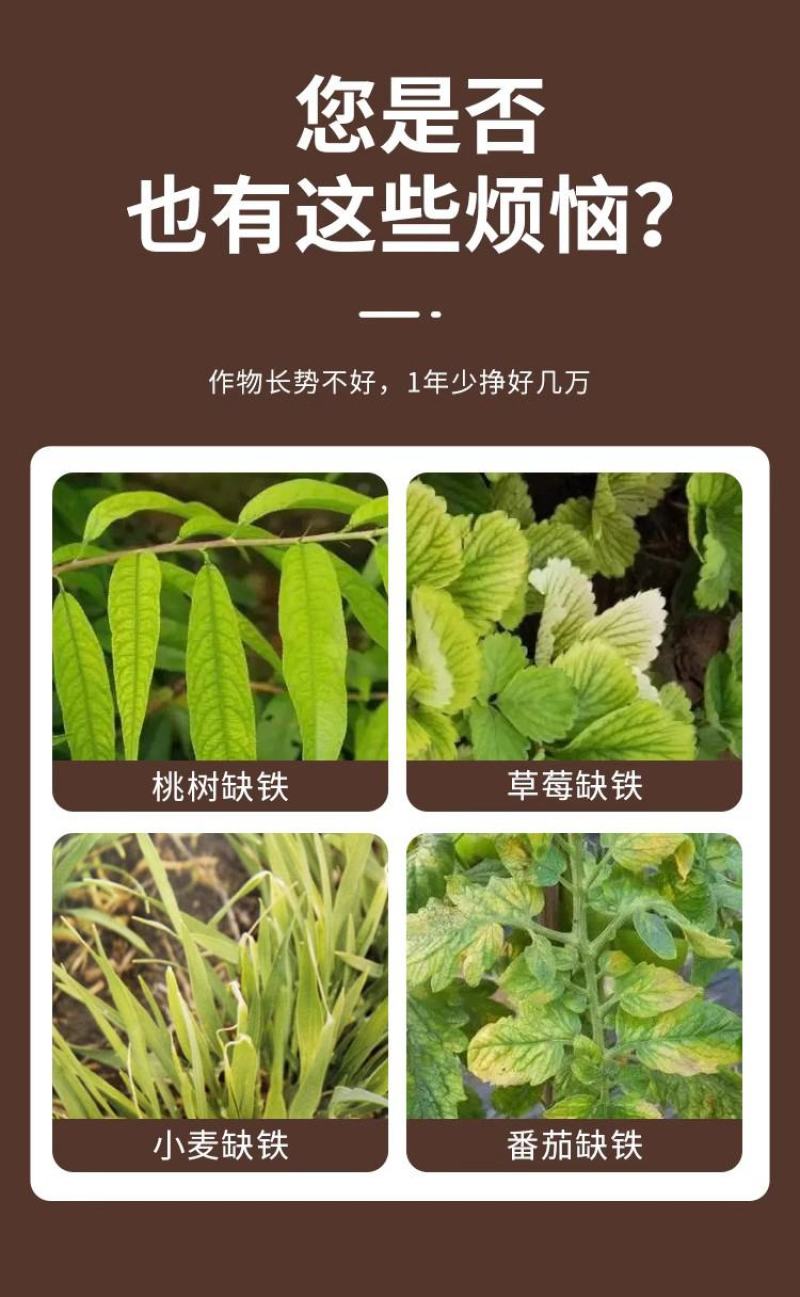志信高铁木质素螯合铁肥营养叶面肥快速补铁预防黄叶