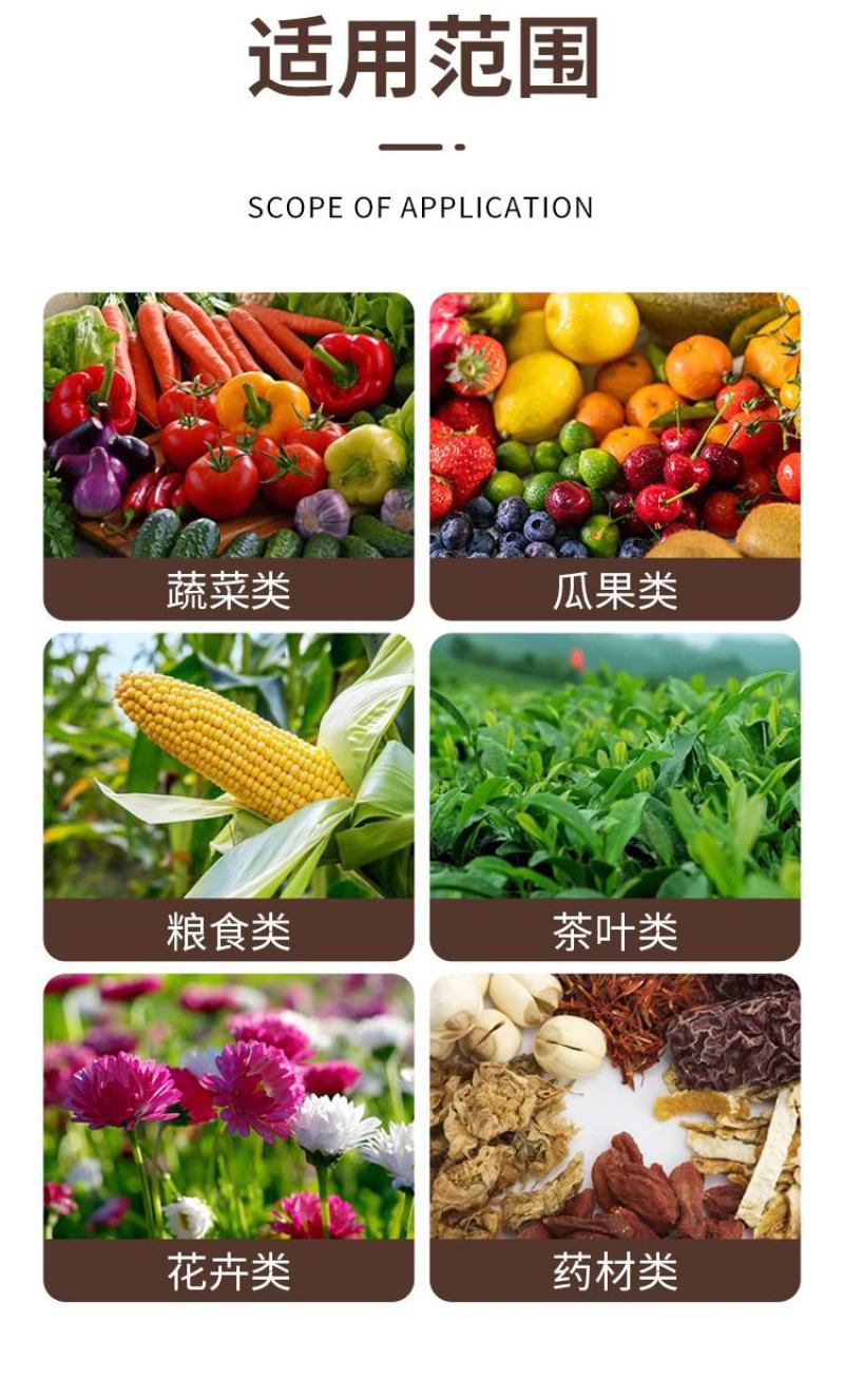 志信高铁木质素螯合铁肥营养叶面肥快速补铁预防黄叶