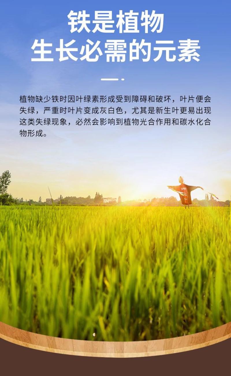 志信高铁木质素螯合铁肥营养叶面肥快速补铁预防黄叶