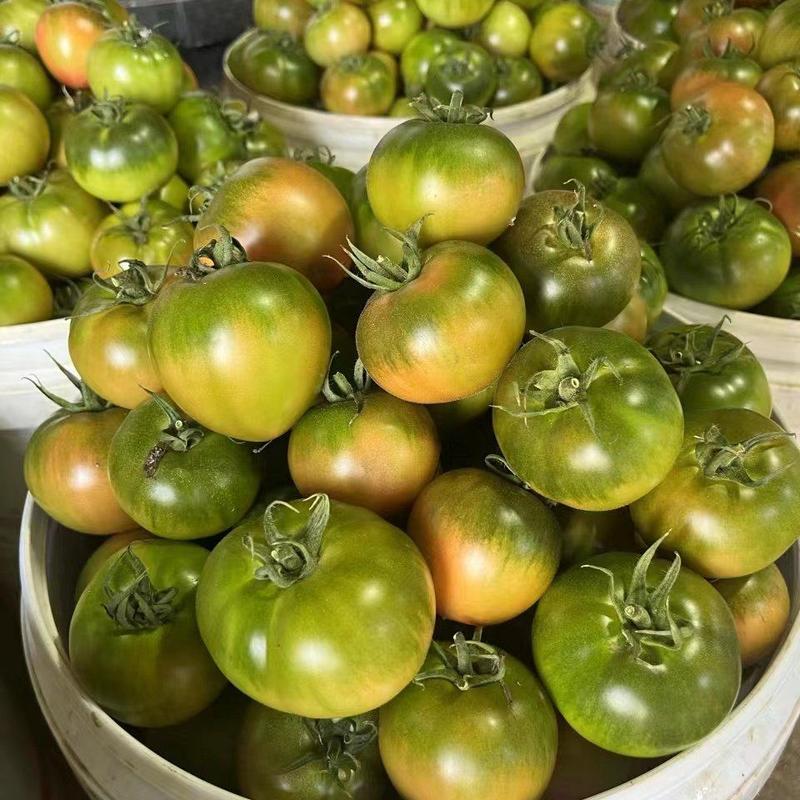 正宗草莓西红柿酸甜绿腚戴安娜社区团购铁皮西红柿产地直发