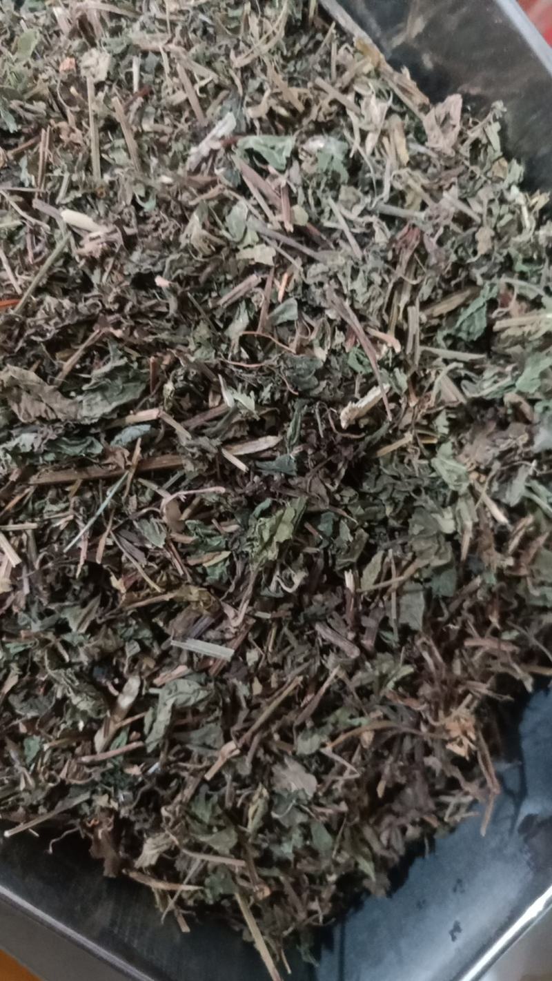 绞股蓝药用绞股蓝绞股蓝草中药材各种草药批发零售