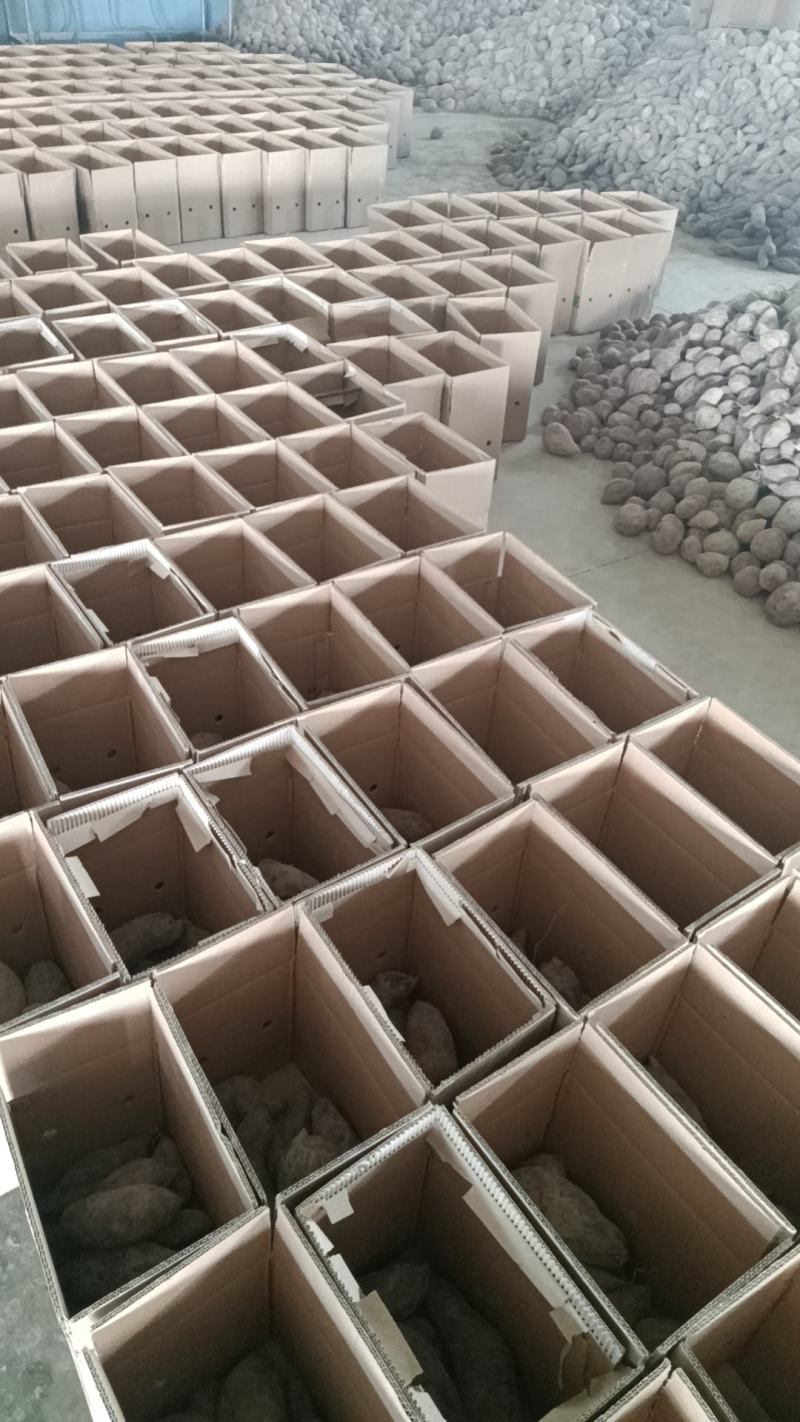 云南紫薯，粉丝福利3000单五斤一箱只需要9.9元…