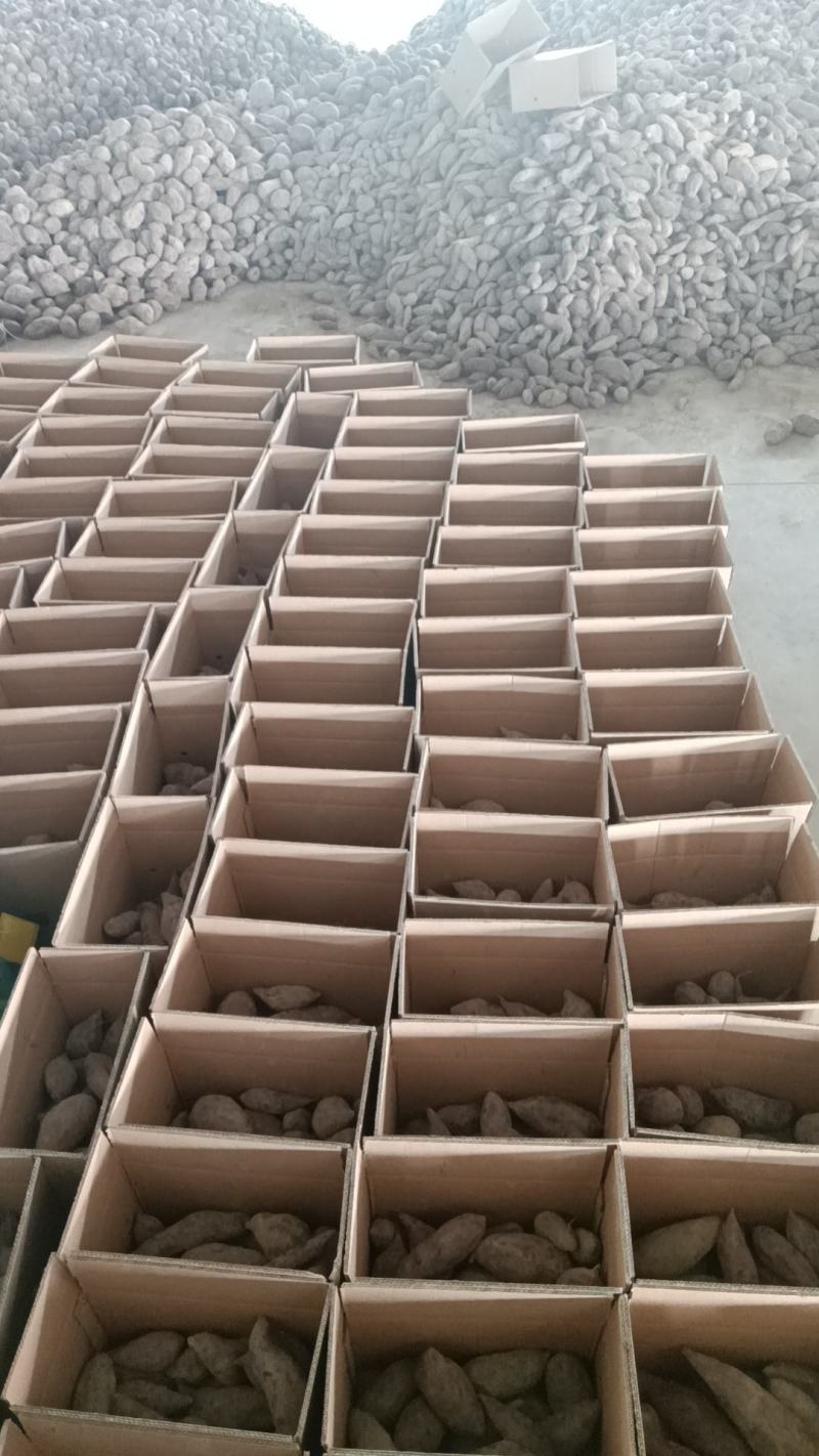 云南紫薯，粉丝福利3000单五斤一箱只需要9.9元…