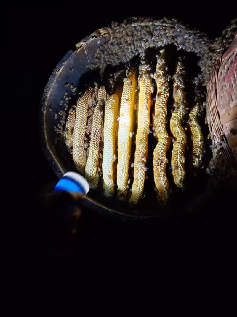 江西农家土蜂蜜美味纯正自然的味道欢迎老板电话联系