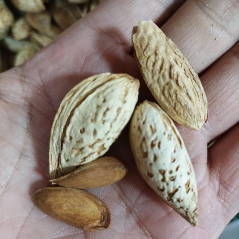 莎车一号巴旦木纸皮巴旦木原味