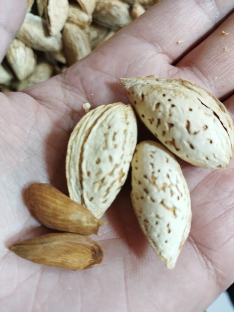 莎车一号巴旦木纸皮巴旦木原味