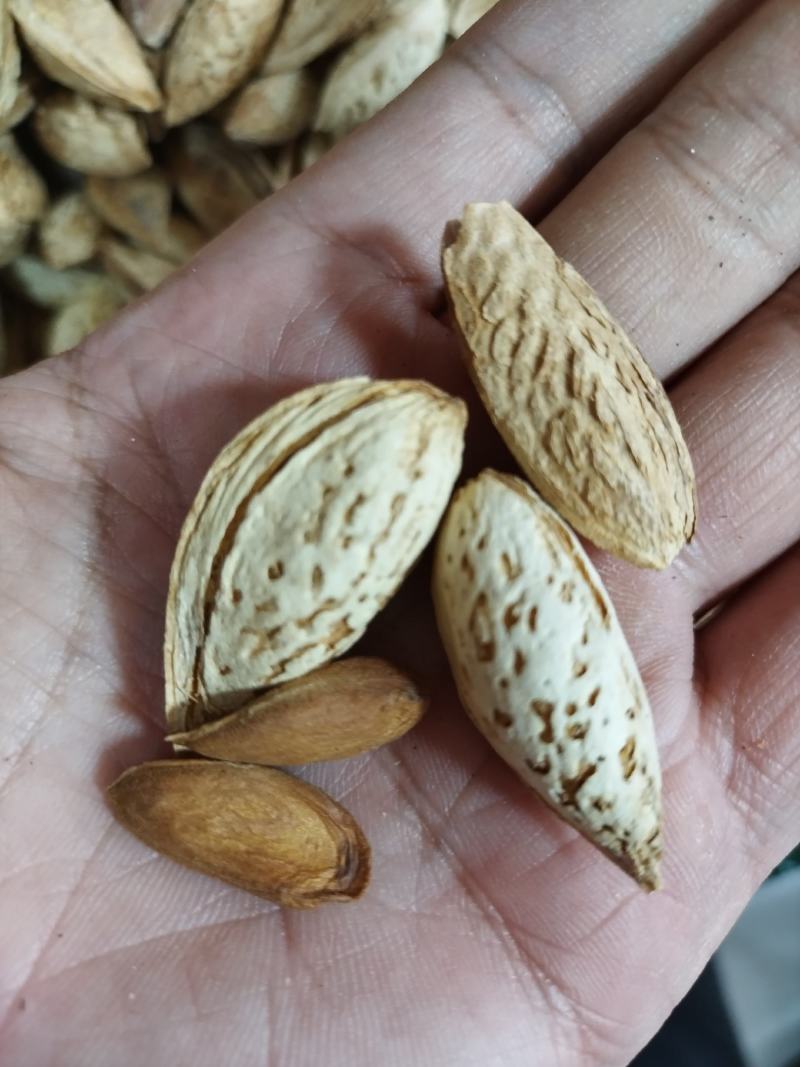 莎车一号巴旦木纸皮巴旦木原味