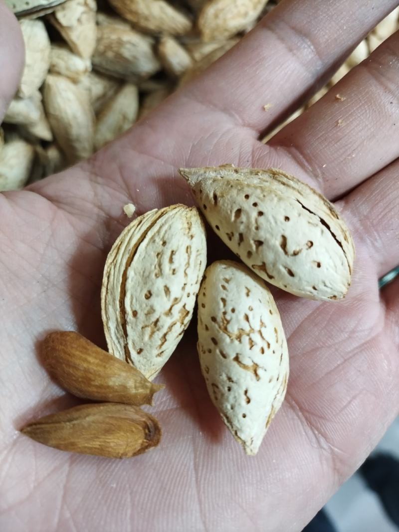 莎车一号巴旦木纸皮巴旦木原味