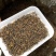 金骏眉红茶武夷山红茶新茶花蜜香嫩芽尖高山茶叶500g茶
