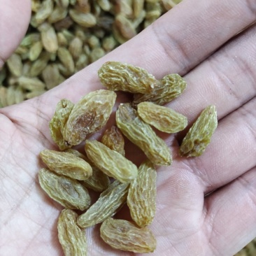 新疆葡萄干