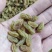 新疆葡萄干