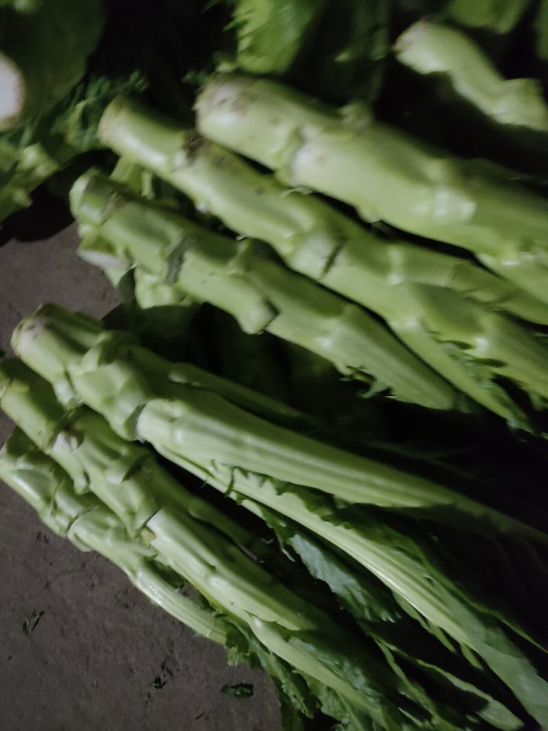 青皮棒菜大量上市