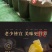 【泡菜】贵州无盐酸菜免洗酸菜500克每袋，产地直发，保质保量