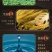 【泡菜】贵州无盐酸菜免洗酸菜500克每袋，产地直发，保质保量