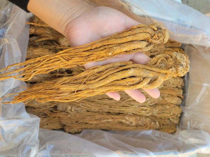 当归，当归颗粒无掺假，真实拍照，有现货，24小时内发货