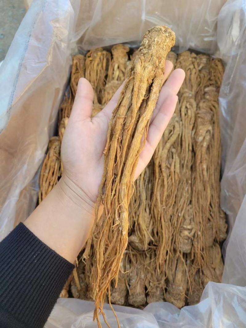 当归，当归颗粒无掺假，真实拍照，有现货，24小时内发货