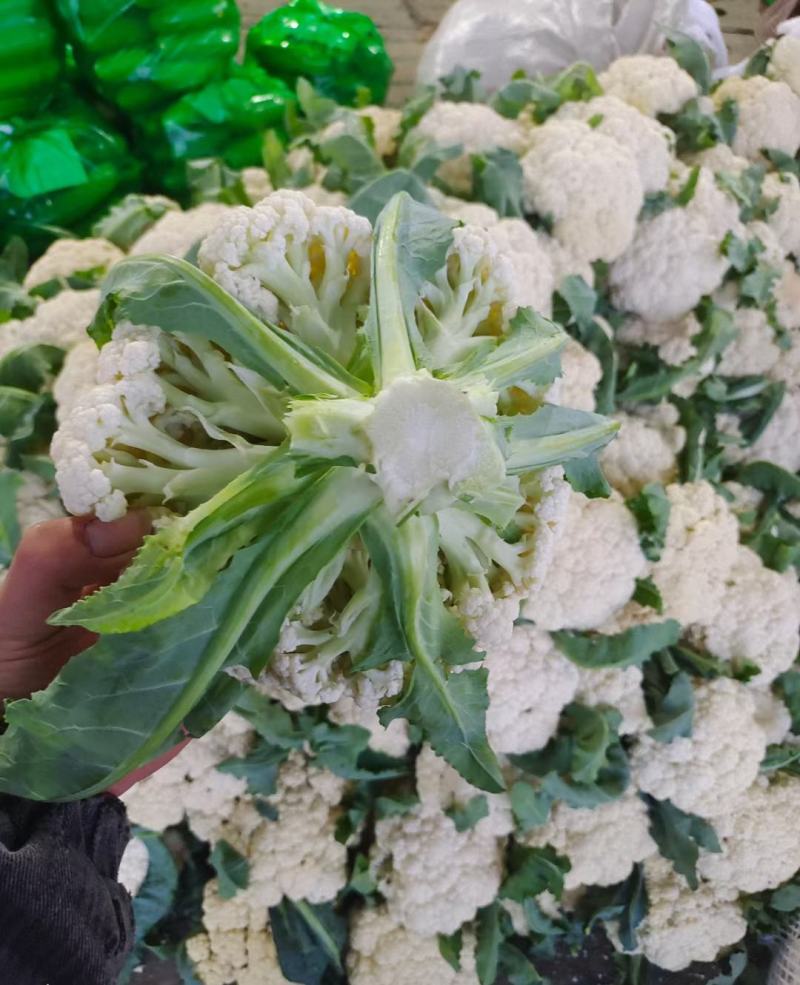 有机松花菜菜花白面青梗散花承接商超社团供货代收代发