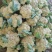有机松花菜菜花白面青梗散花承接商超社团供货代收代发