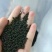 高配微生物菌肥神蚯蚓(70%有机质+10亿活菌)