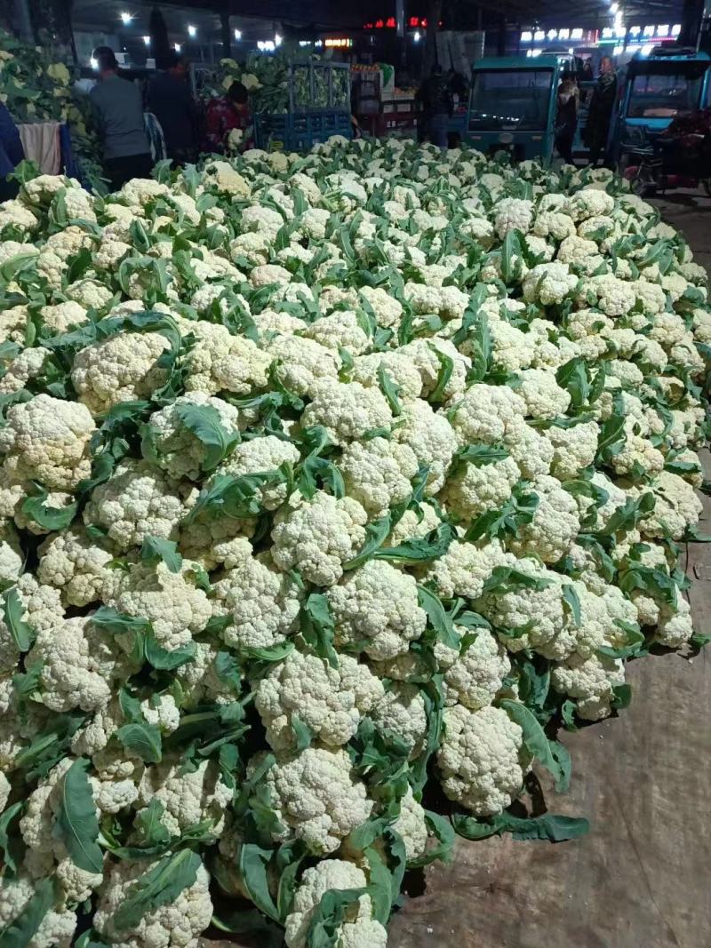 山东花菜有机花菜小米粒松花菜商超对接产地直发