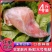 新鲜兔后腿生兔肉当天兔肉新鲜分割兔后腿4斤
