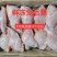 新鲜兔腿9.5斤/份冷冻兔后腿生兔腿肉速冻兔子腿保温箱加