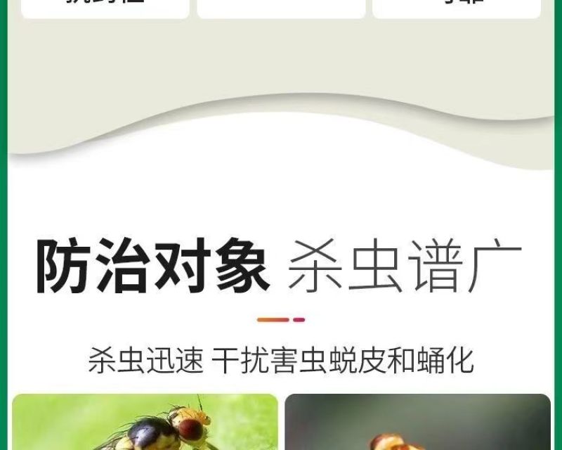 31%阿维灭蝇胺美洲斑潜蝇杀蝇蛆地图虫潜叶蝇农药杀虫剂