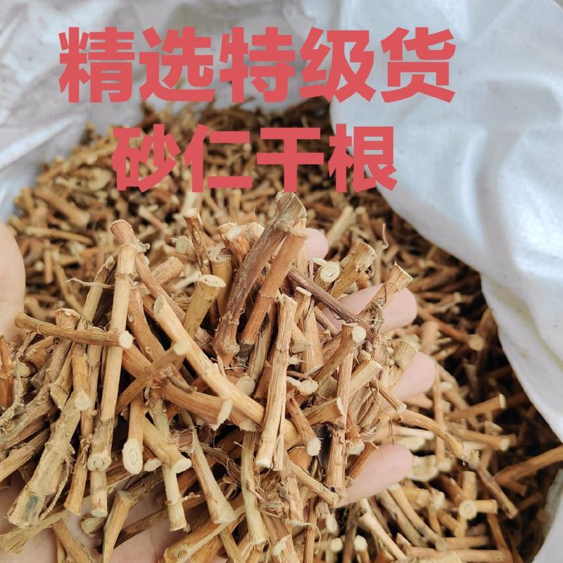 春砂仁干根广东阳春砂仁产地大量直销