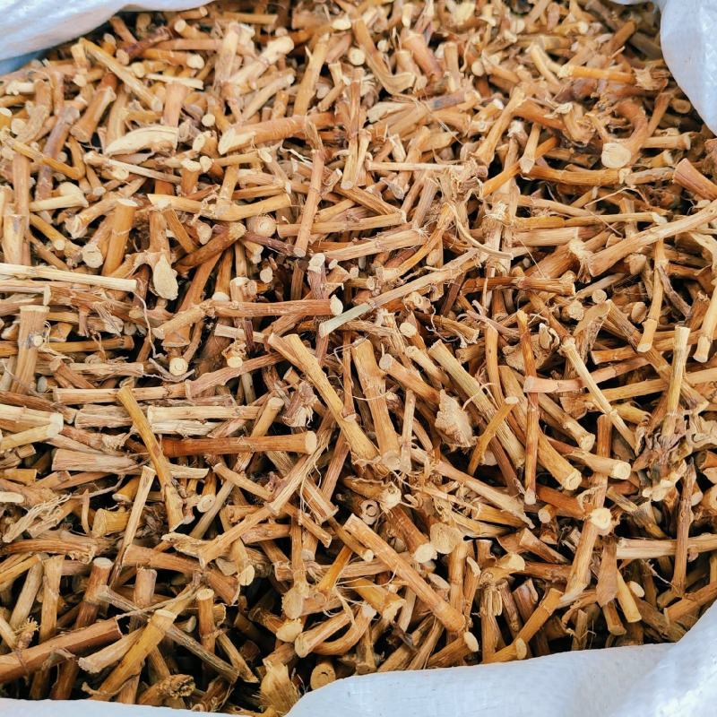 春砂仁干根广东阳春砂仁产地大量直销