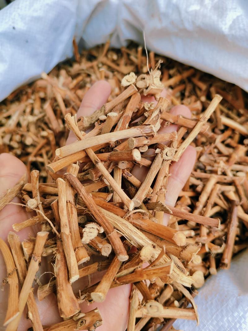 春砂仁干根广东阳春砂仁产地大量直销