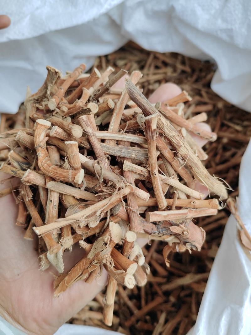 春砂仁干根广东阳春砂仁产地大量直销