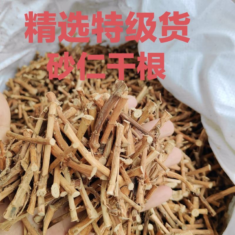 春砂仁干根广东阳春砂仁产地大量直销