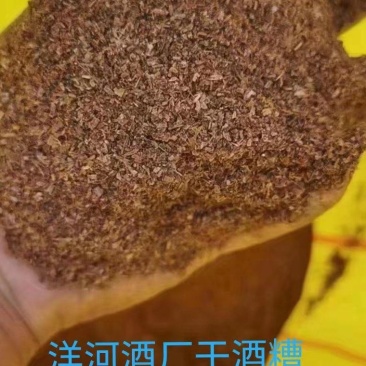 干酒糟