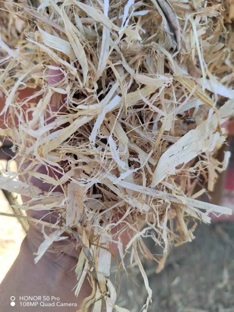 一级精品柔丝稻草，牛，羊，马，驴的好草，价格低，品质好