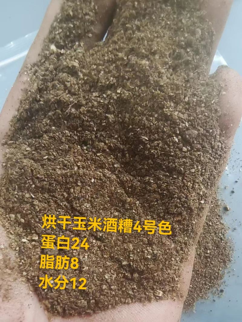 干酒糟