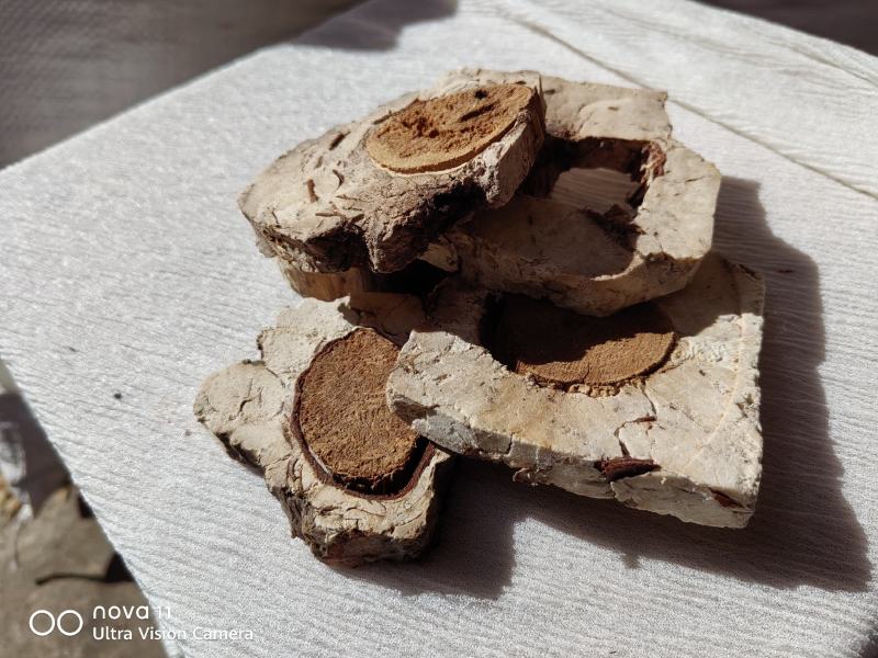玉林茯神块产地直发保质保量欢迎各地老板选购