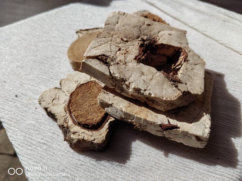 玉林茯神块产地直发保质保量欢迎各地老板选购